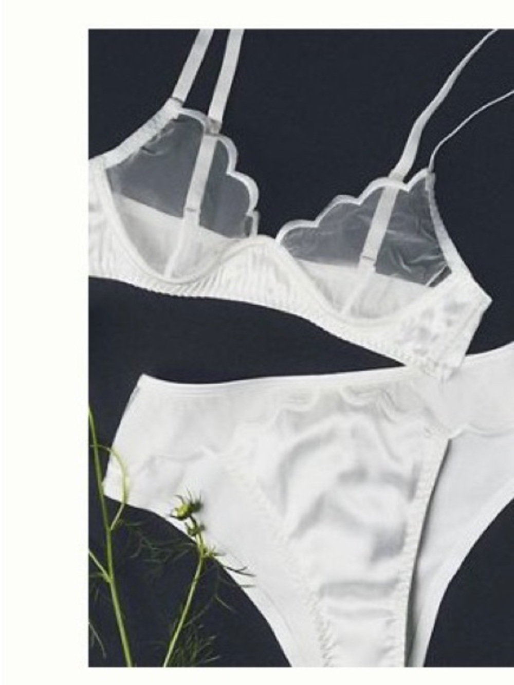 Anthropologie LyreBird Scalloped Sheer Satin Bra XL luxe soft girl